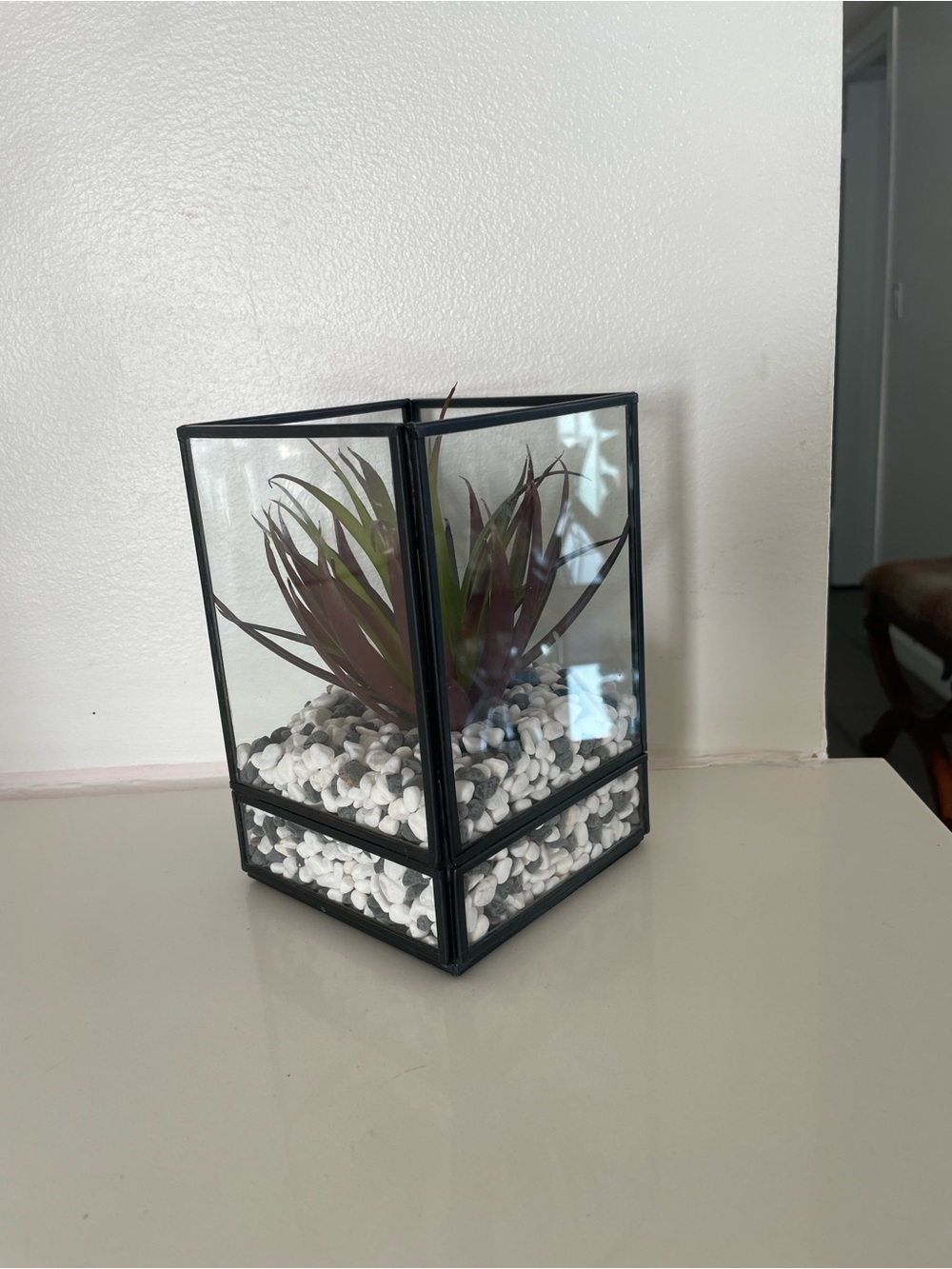 Crate&Barrel Black Glass Terrarium with Burgundy and Green Faux Plant